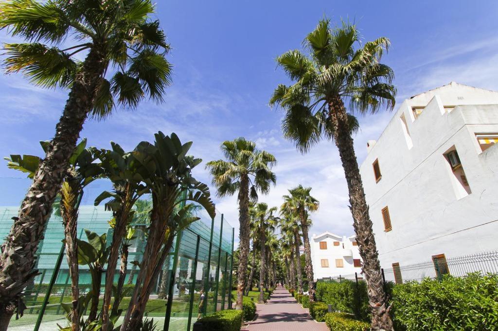 Sunflat Holidays Paradise Punta Prima Lejlighed La Pineda Eksteriør billede